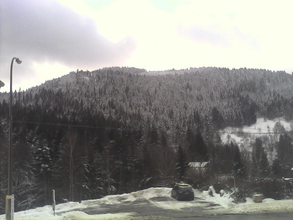 Gite De L'Ours La Bresse Exteriör bild