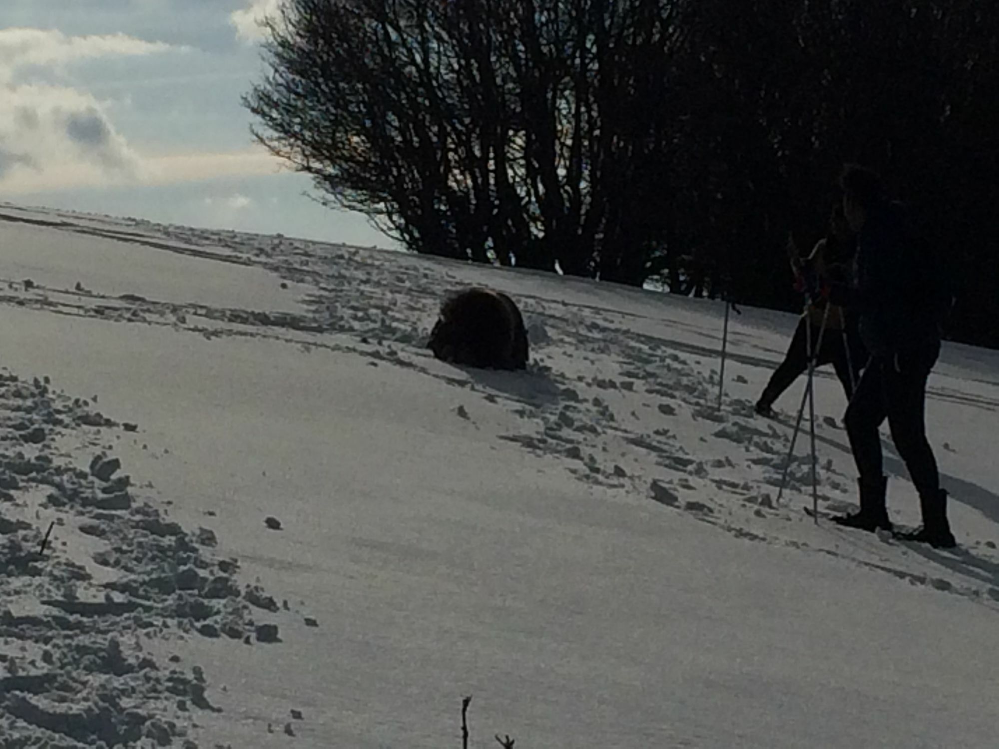 Gite De L'Ours La Bresse Exteriör bild